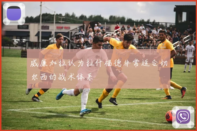 威廉加拉认为拉什福德非常适合切尔西的战术体系