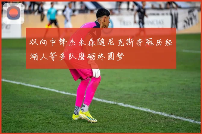 双向中锋杰米森随尼克斯夺冠历经湖人等多队磨砺终圆梦