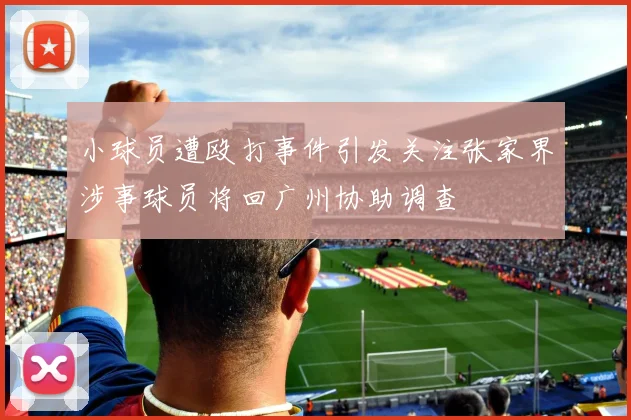 小球员遭殴打事件引发关注张家界涉事球员将回广州协助调查
